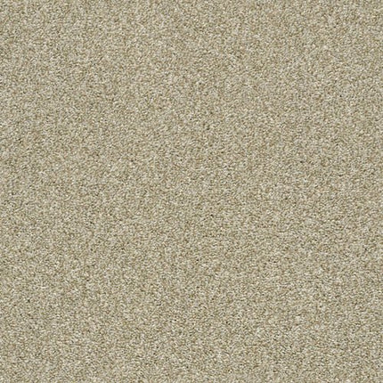CABANA LIFE (T) - E9958 - 00142 - Carpet