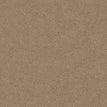 Basic Tan