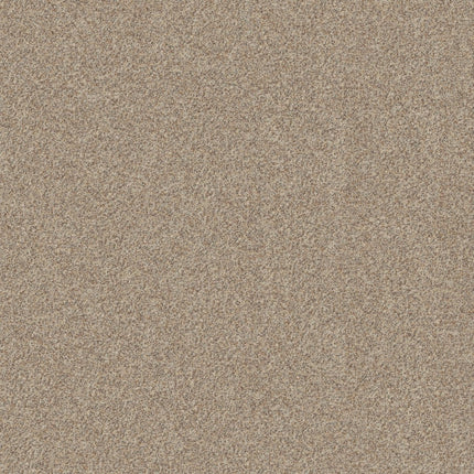 Canyon Lake - 5E830_0172B-Carpet