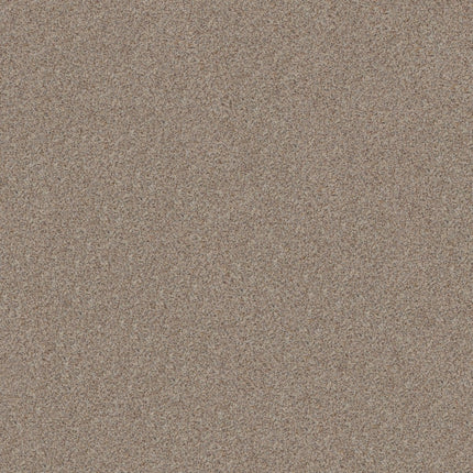 Canyon Lake - 5E830_0152B-Carpet