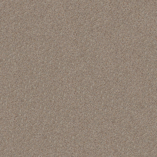 Canyon Lake - 5E830_0152B-Carpet