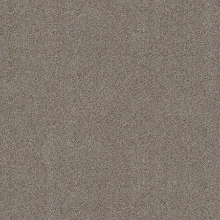 Canyon Lake - 5E830_0543B-Carpet
