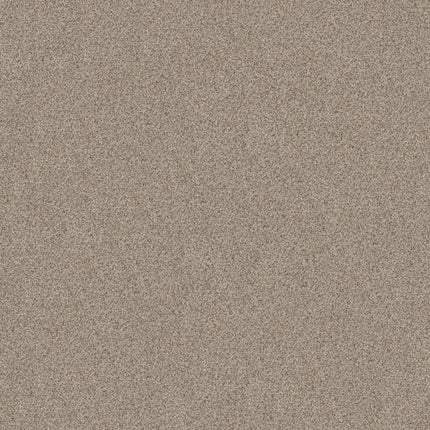 Canyon Lake - 5E830_0153B-Carpet