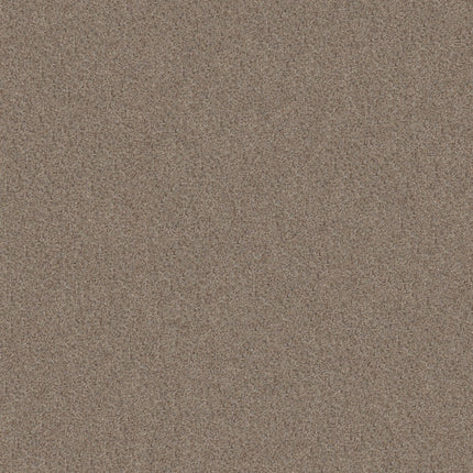 Canyon Lake - 5E830_0154B-Carpet