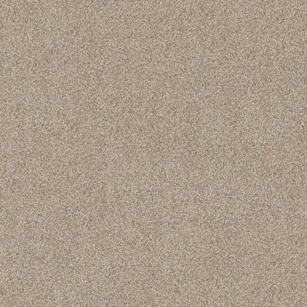 Canyon Lake - 5E830_0111B-Carpet