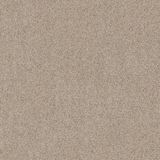 Canyon Lake - 5E830_0111B-Carpet