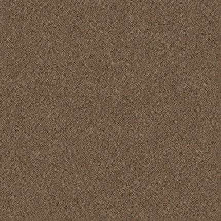 Canyon Lake - 5E830_0575B-Carpet