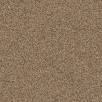 Canyon Lake - 5E830_0213B-Carpet