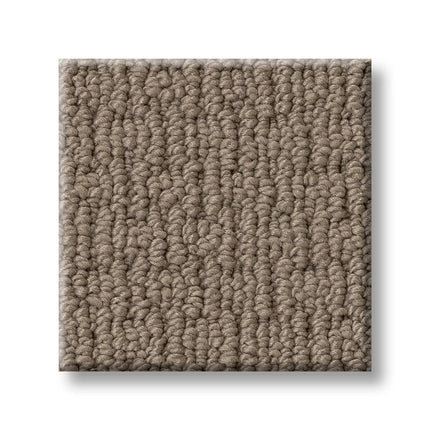 Casual Life - Z6812_00754-Carpet