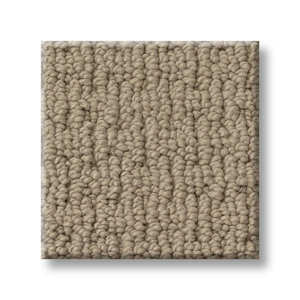Casual Life - Z6812_00113-Carpet