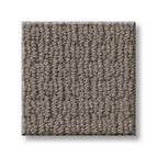 Simply Taupe