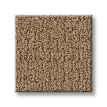 Casual Life - Z6812_00228-Carpet