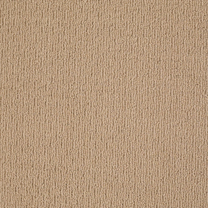 Casual Mood - Z6820_00772-Carpet
