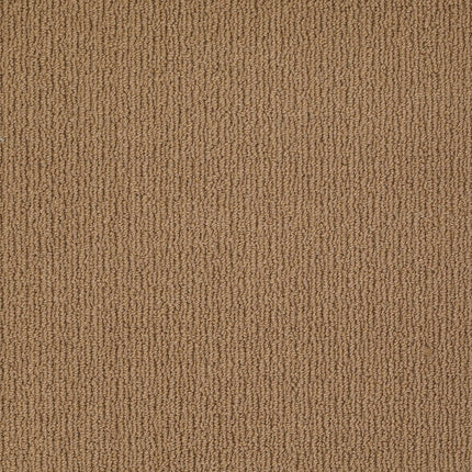 Casual Mood - Z6820_00775-Carpet