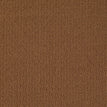 Modern Brown