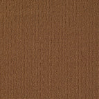 Modern Brown