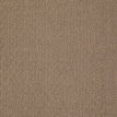Saddle Blanket