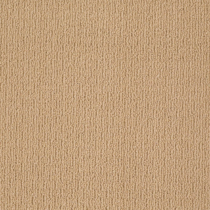 Casual Mood - Z6820_00724-Carpet