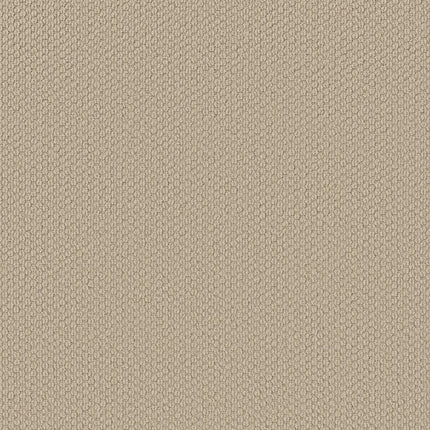 Cathedral Hill II - ZZ040_00102-Carpet