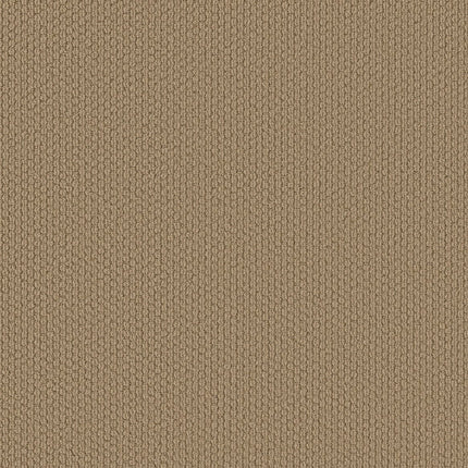 Cathedral Hill II - ZZ040_00724-Carpet