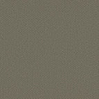 River Shale