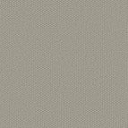 Stylish Gray