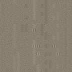 Taupe Tone