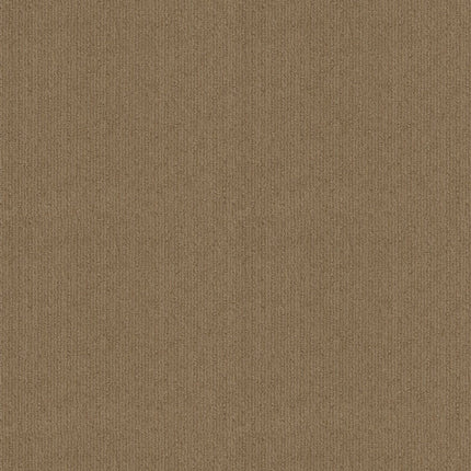 Cedar City - 5E823_00178-Carpet