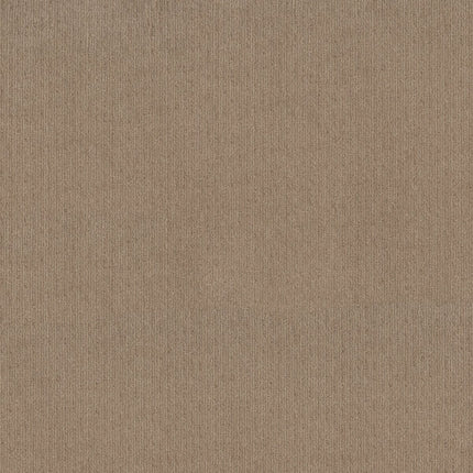 Cedar City - 5E823_00750-Carpet