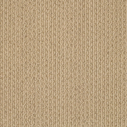Chapel Ridge - ZZ045_00221-Carpet