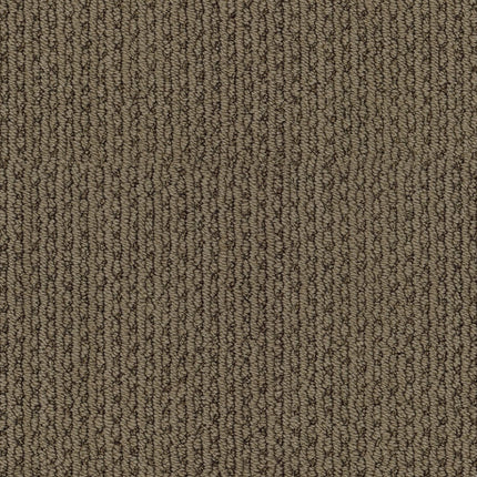 Chapel Ridge - ZZ045_00725-Carpet