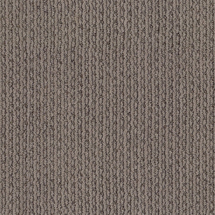 Chapel Ridge - ZZ045_00755-Carpet