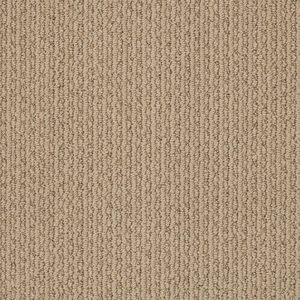 Chapel Ridge - ZZ045_00224-Carpet