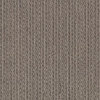 Simply Taupe