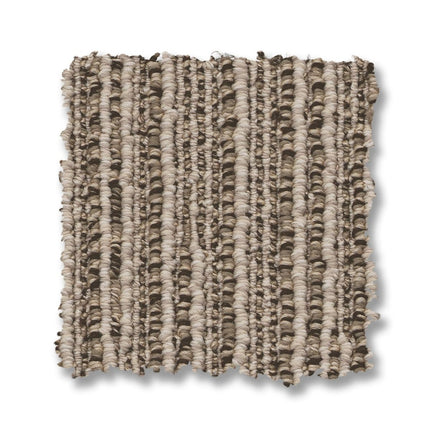 Chase - ZZ075_00717-Carpet