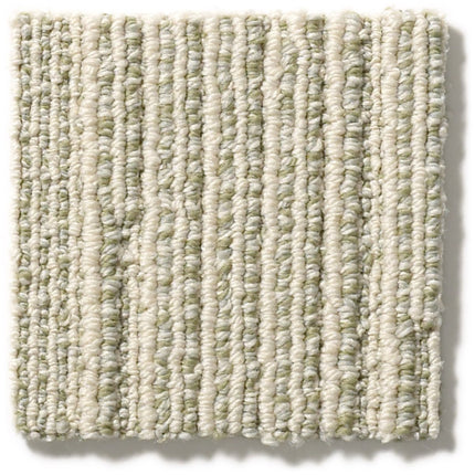 Chase - ZZ075_00312-Carpet