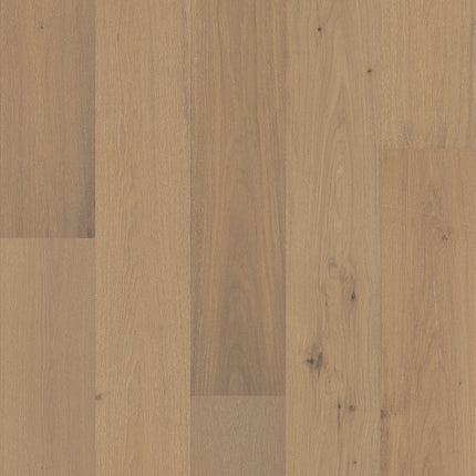 Chateau Oak - AA847-11095-Hardwood