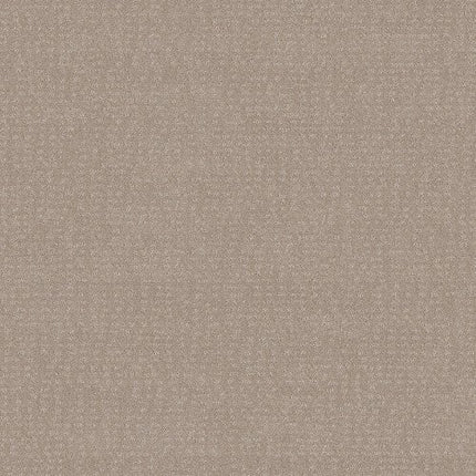 CHIC NUANCE - 5E341 - 00107 - Carpet