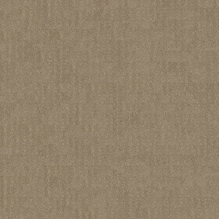 CHIC NUANCE - 5E341 - 00701 - Carpet
