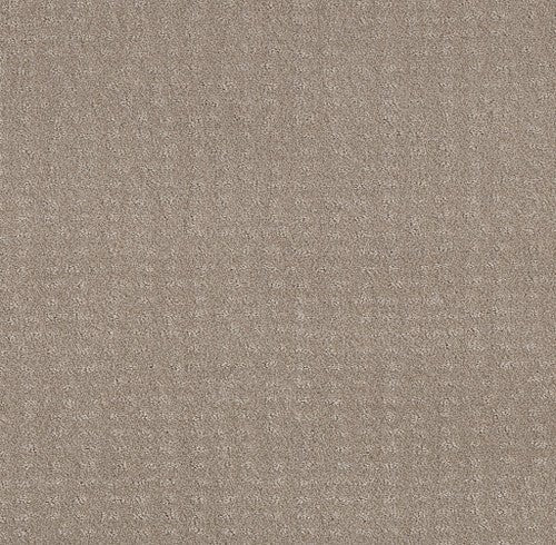 CHIC NUANCE - 5E341 - 00108 - Carpet