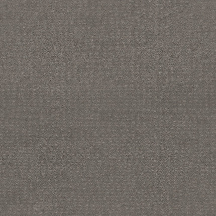 CHIC NUANCE - 5E341 - 00504 - Carpet