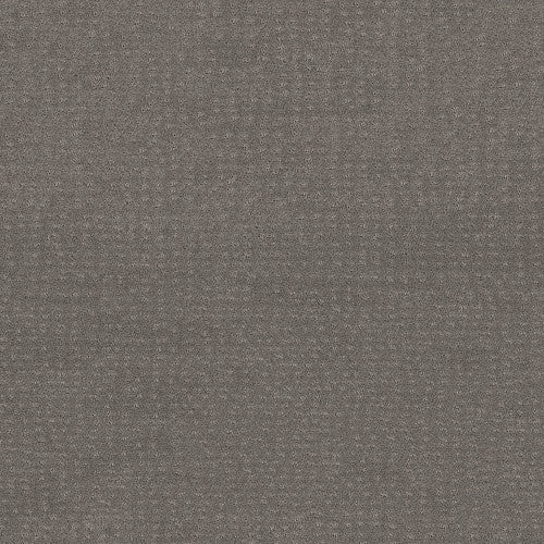 CHIC NUANCE - 5E341 - 00504 - Carpet