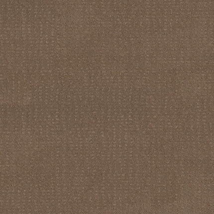 CHIC NUANCE - 5E341 - 00720 - Carpet