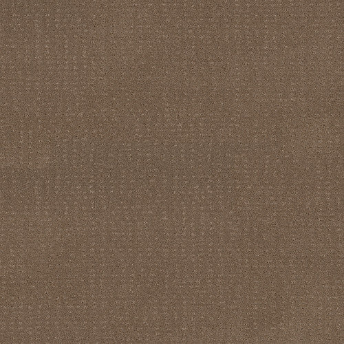 CHIC NUANCE - 5E341 - 00720 - Carpet