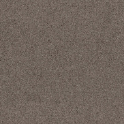 CHIC NUANCE - 5E341 - 00751 - Carpet