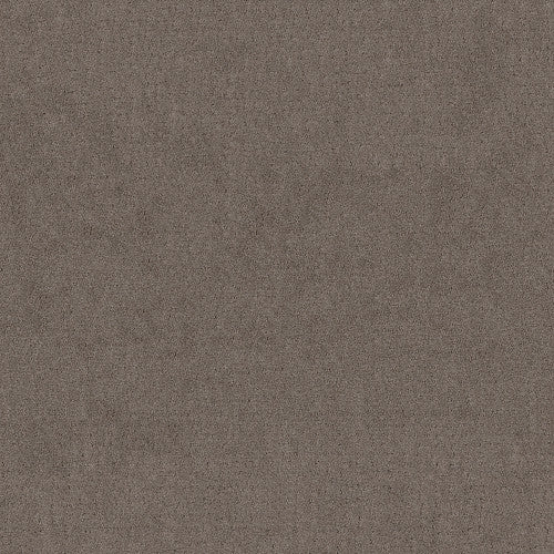 CHIC NUANCE - 5E341 - 00751 - Carpet