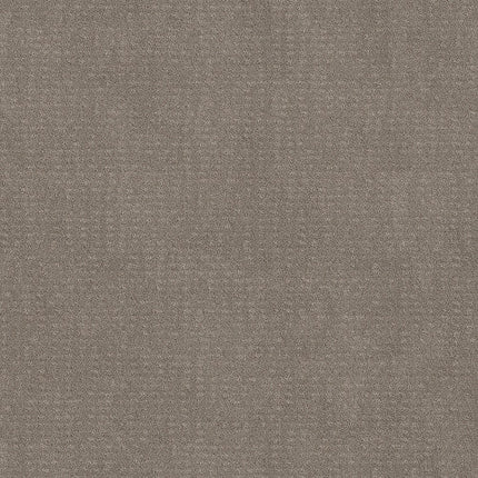 CHIC NUANCE - 5E341 - 00700 - Carpet