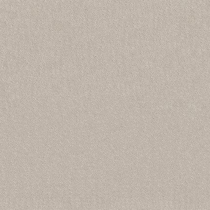 CHIC NUANCE - 5E341 - 00101 - Carpet