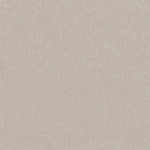 CHIC NUANCE - 5E341 - 00101 - Carpet