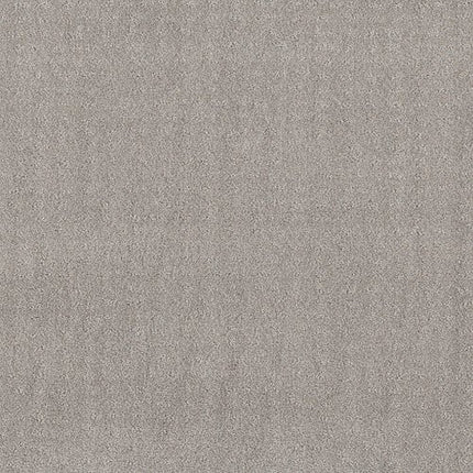 CHIC NUANCE - 5E341 - 00500 - Carpet